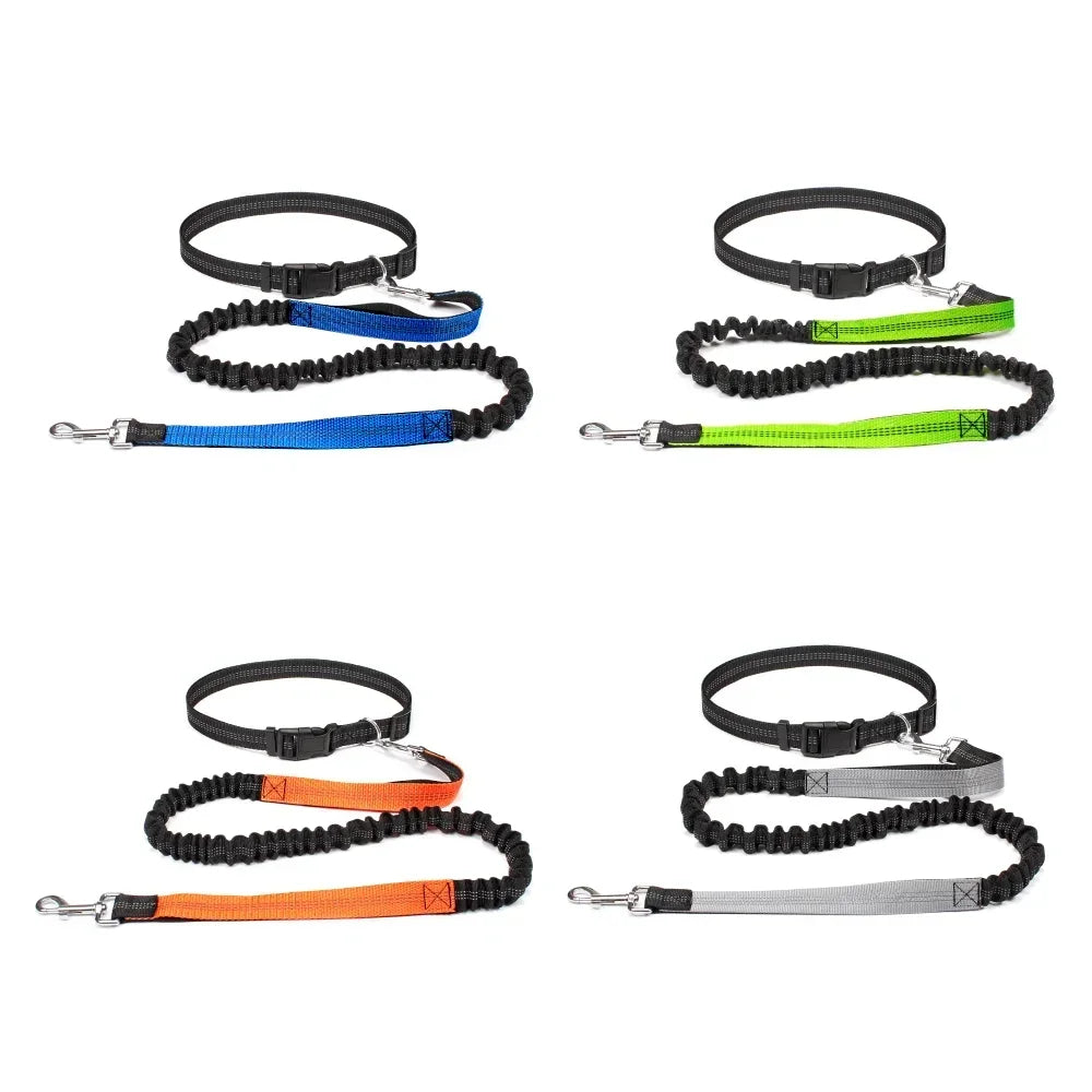 Hands Free Dog Leash Waist Belt For Walking Running Jogging