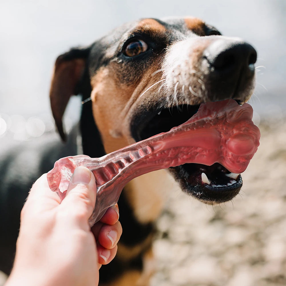 MASBRILL Dog Toys Aggressive Chewers Large Dogs Bone Shaped Indestructible Nylon Toys