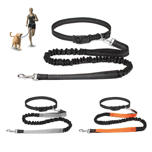 Hands Free Dog Leash Waist Belt For Walking Running Jogging