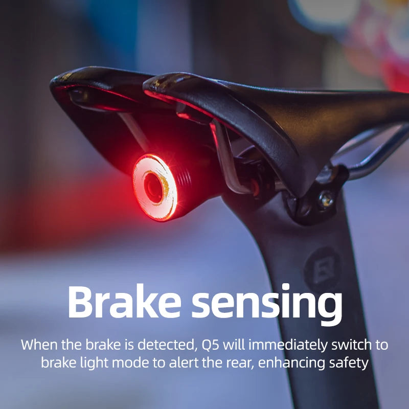 ROCKBROS Smart Bicycle Rear Light Auto Brake Sensing Waterproof Type-C Bike Taillight