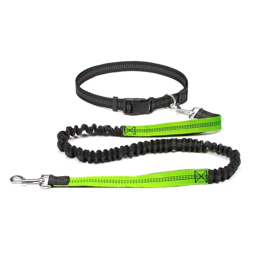Hands Free Dog Leash Waist Belt For Walking Running Jogging
