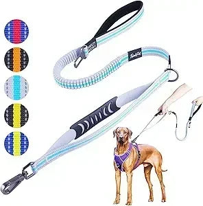 Dog Leashes –Double Handle  Leash, Comfortable Padded Heavy Duty Bungee No Pull Reflective Lead