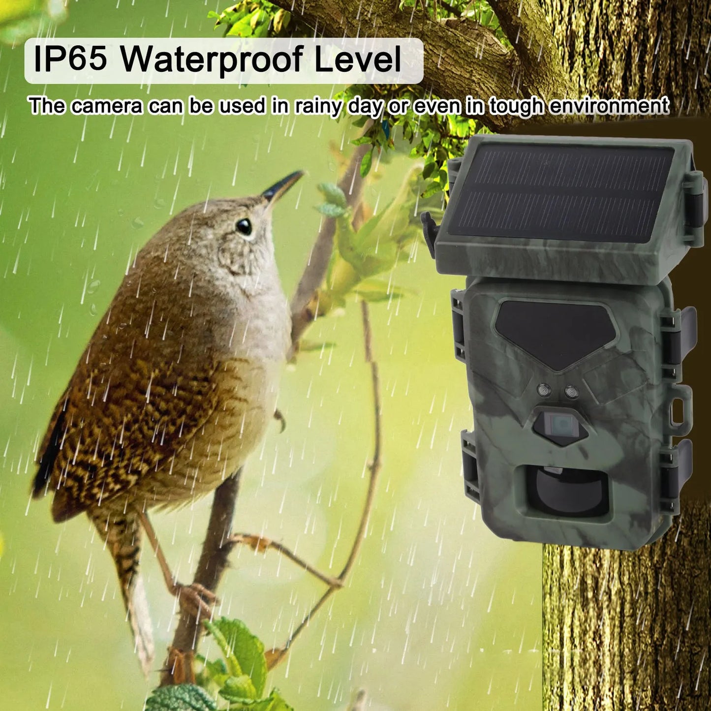 Hign-concerned Trail Camera IR Night Vision Waterproof Solar