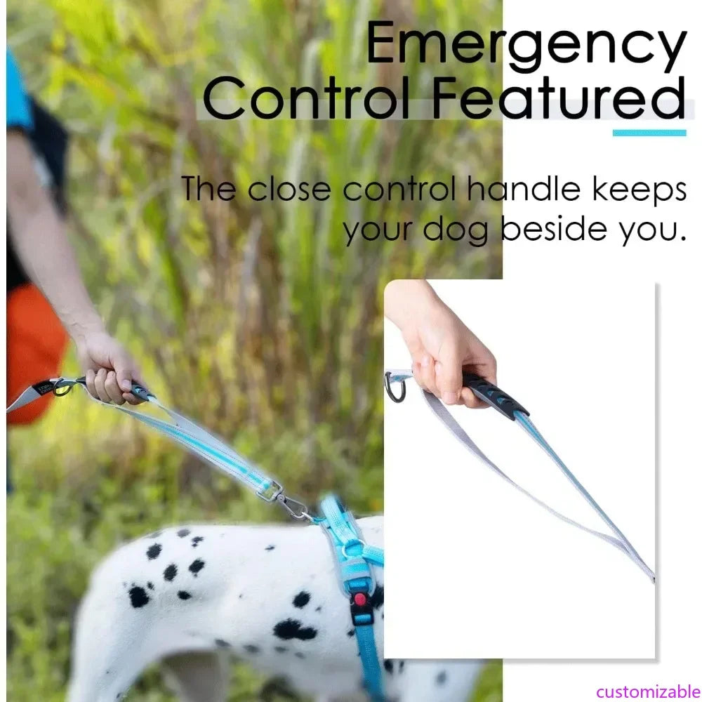 Dog Leashes –Double Handle  Leash, Comfortable Padded Heavy Duty Bungee No Pull Reflective Lead