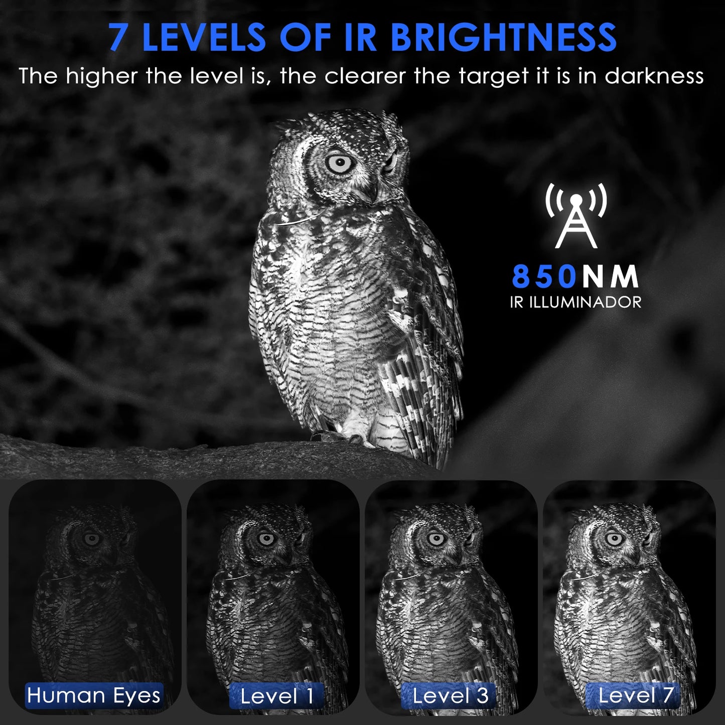 Night Vision Binoculars 4X Digital Zoom 300 Meters Goggles