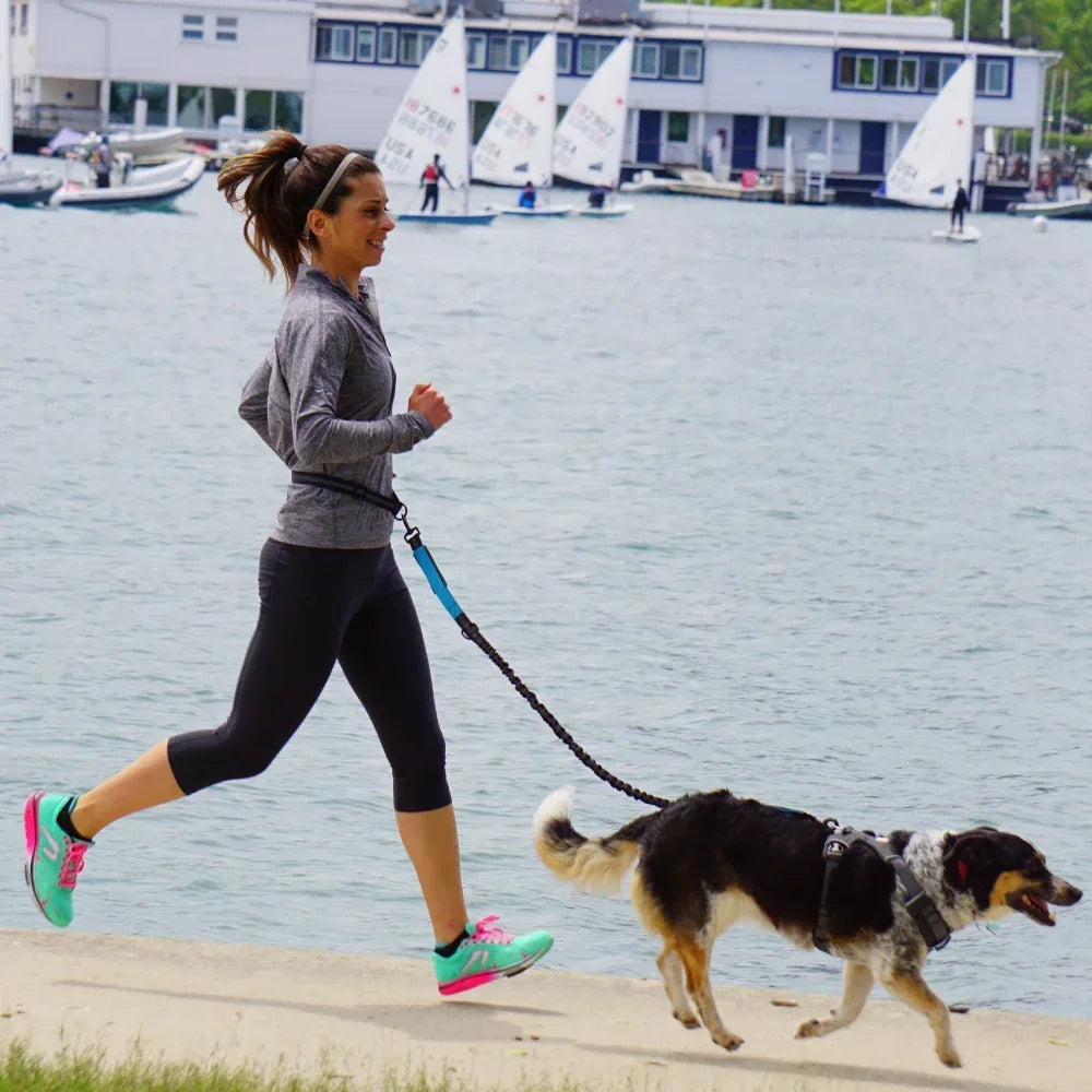 Hands Free Dog Leash Waist Belt For Walking Running Jogging