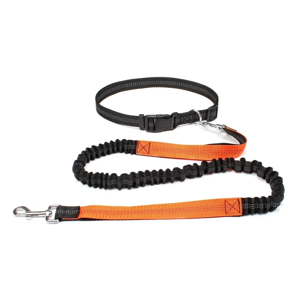 Hands Free Dog Leash Waist Belt For Walking Running Jogging