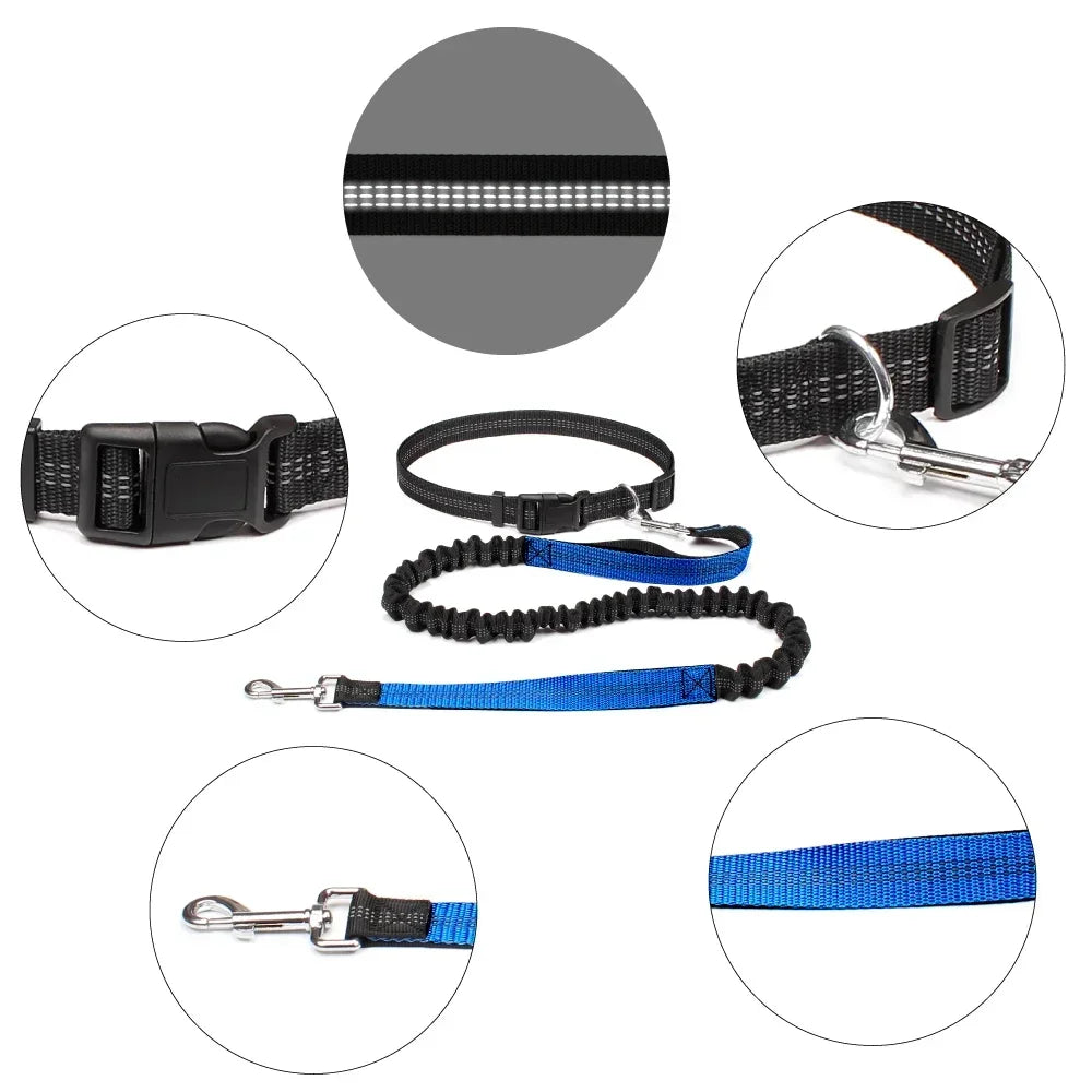 Hands Free Dog Leash Waist Belt For Walking Running Jogging