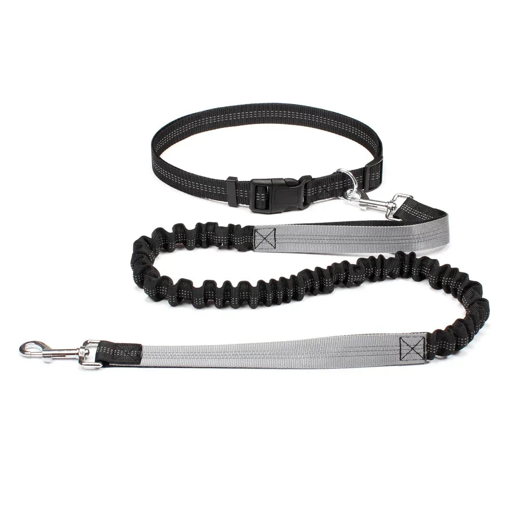 Hands Free Dog Leash Waist Belt For Walking Running Jogging
